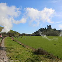 Buy canvas prints of Flying Scotsman and Corfe Castle.  by Sandra Day