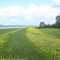 Buy canvas prints of River Severn Way Walk by Sandra Day