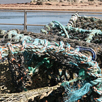 Buy canvas prints of Mudeford Lobster pots by Sandra Day