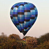 Buy canvas prints of Multi Blue Hot Air Balloon Landing  by Sandra Day