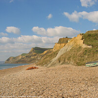 Buy canvas prints of Dorset coast  by Sandra Day
