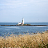 Buy canvas prints of St Mary's Lighthouse by Sandra Day