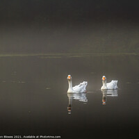 Buy canvas prints of Early morning on Keston Ponds (near Bromley Kent) with 2 geese floating by by johnseanphotography 