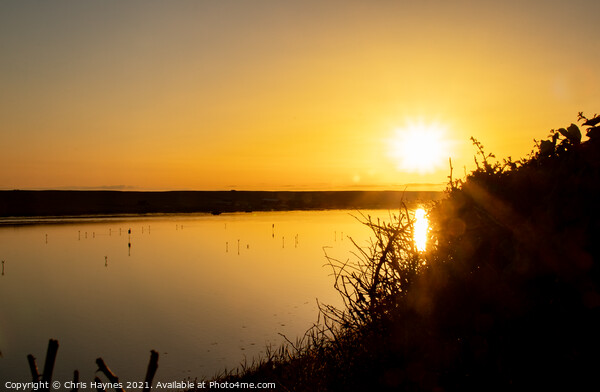 Chesil Beach Sunset in Dorset Picture Board by Chris Haynes