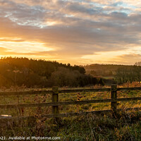 Buy canvas prints of Sunset at Fineshade Wood, Northamptonshire by Chris Haynes