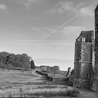 Buy canvas prints of Bradgate House Ruins in Black and White by Chris Haynes