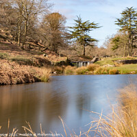 Buy canvas prints of Bradgate Park Woodland and Water by Chris Haynes