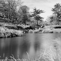 Buy canvas prints of Bradgate Park Woodland and Water in Black and White by Chris Haynes