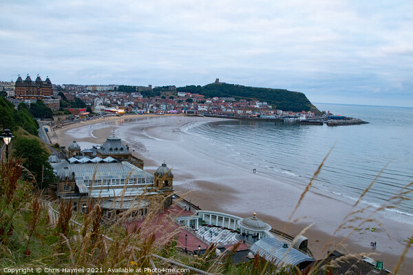 Early Evening in Scarborough Bay Picture Board by Chris Haynes