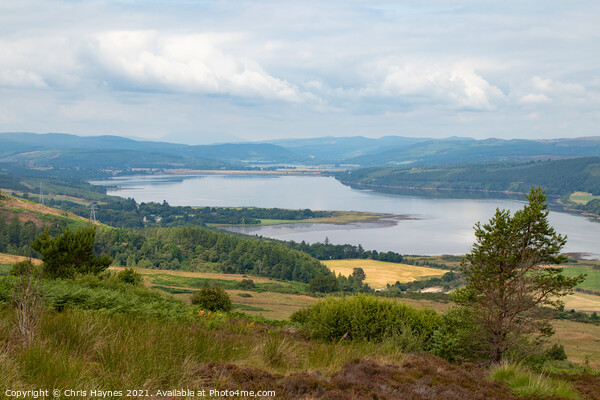 View from Struie Hill, Scotland Picture Board by Chris Haynes
