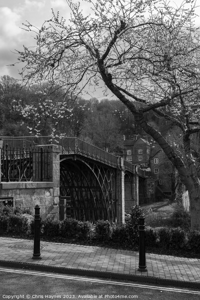 No Parking in Ironbridge in Black and White Picture Board by Chris Haynes