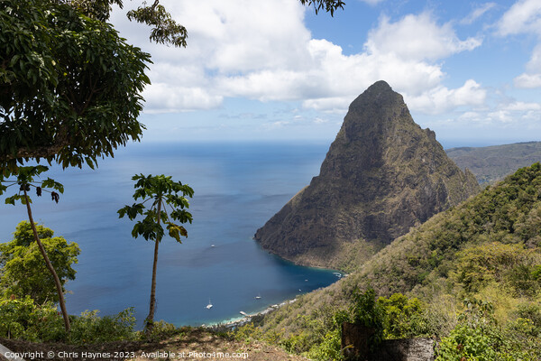 Pitons of St Lucia Picture Board by Chris Haynes