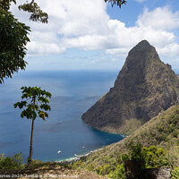 Buy canvas prints of Pitons of St Lucia by Chris Haynes