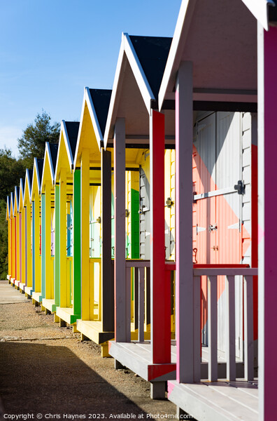 Colourful Beach Huts in Folkestone  Picture Board by Chris Haynes