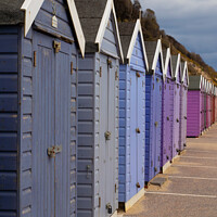 Buy canvas prints of Beach Huts on Bournemouth Beach by Chris Haynes