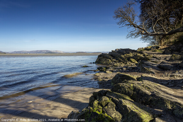 Arnside Shore Picture Board by Philip Brookes