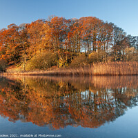 Buy canvas prints of Autumnal Elterwater by Philip Brookes