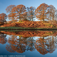 Buy canvas prints of Elterwater in Autumn by Philip Brookes