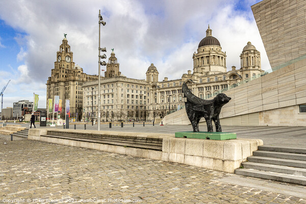 Liverpool Waterfront Picture Board by Philip Brookes