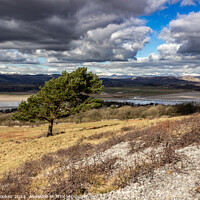 Buy canvas prints of Arnside Knott by Philip Brookes