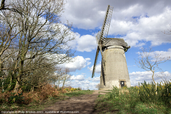 Bidston Windmill Picture Board by Philip Brookes