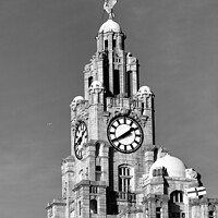 Buy canvas prints of Liver building, Liverpool by Philip Brookes