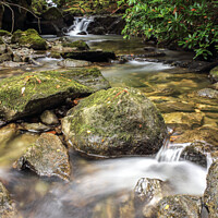 Buy canvas prints of Rydal Falls, Cumbria by Philip Brookes