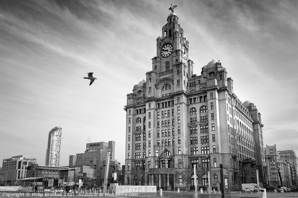 Liver Building Picture Board by Philip Brookes