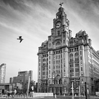 Buy canvas prints of Liver Building by Philip Brookes