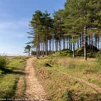 Buy canvas prints of Newborough Forest by Philip Brookes