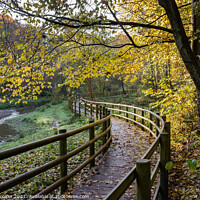 Buy canvas prints of Autumnal Wepre Park by Philip Brookes