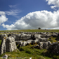 Buy canvas prints of Great Asby Scar by Philip Brookes