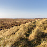 Buy canvas prints of West Kirby Dunes by Philip Brookes