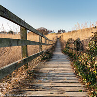 Buy canvas prints of West Kirby footpath by Philip Brookes