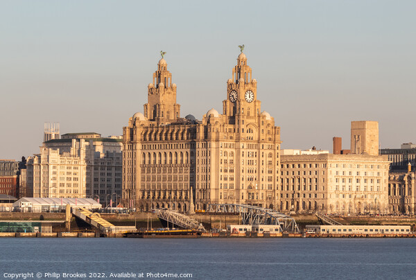 Royal Liver Building, Liverpool Picture Board by Philip Brookes