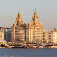 Buy canvas prints of Royal Liver Building, Liverpool by Philip Brookes