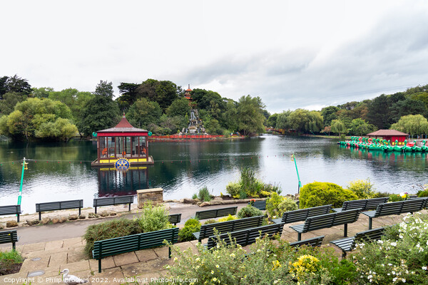Peasholm Park, Scarborough Picture Board by Philip Brookes
