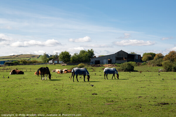 Farsyde Farm, Yorkshire Picture Board by Philip Brookes