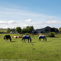 Buy canvas prints of Farsyde Farm, Yorkshire by Philip Brookes