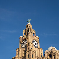 Buy canvas prints of Liver Building Clocktower by Philip Brookes
