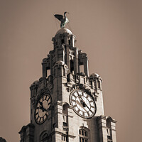 Buy canvas prints of Royal Liver Building by Philip Brookes