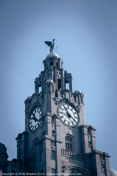 Royal Liver Building Picture Board by Philip Brookes