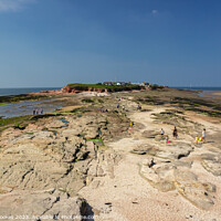 Buy canvas prints of Hilbre Island by Philip Brookes