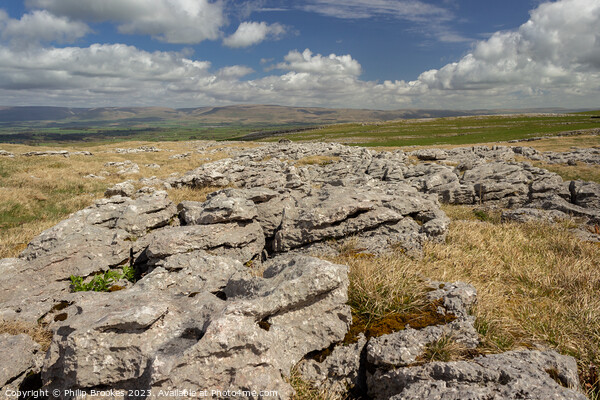 Great Asby Scar  Picture Board by Philip Brookes