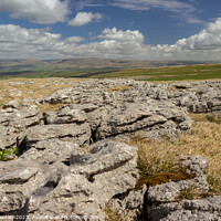 Buy canvas prints of Great Asby Scar  by Philip Brookes