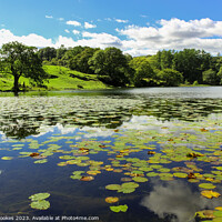 Buy canvas prints of Loughrigg Tarn by Philip Brookes
