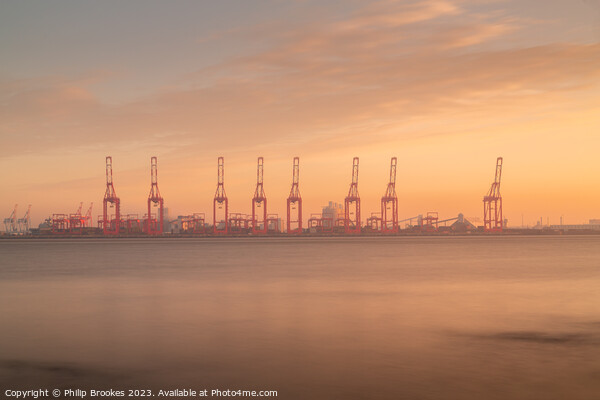 Liverpool Cranes Sunrise Picture Board by Philip Brookes