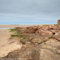 Buy canvas prints of Red Rocks Nature Reserve by Philip Brookes