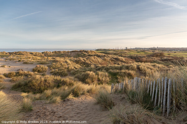 Wallasey Sand Dunes Picture Board by Philip Brookes