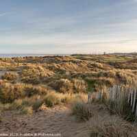 Buy canvas prints of Wallasey Sand Dunes by Philip Brookes